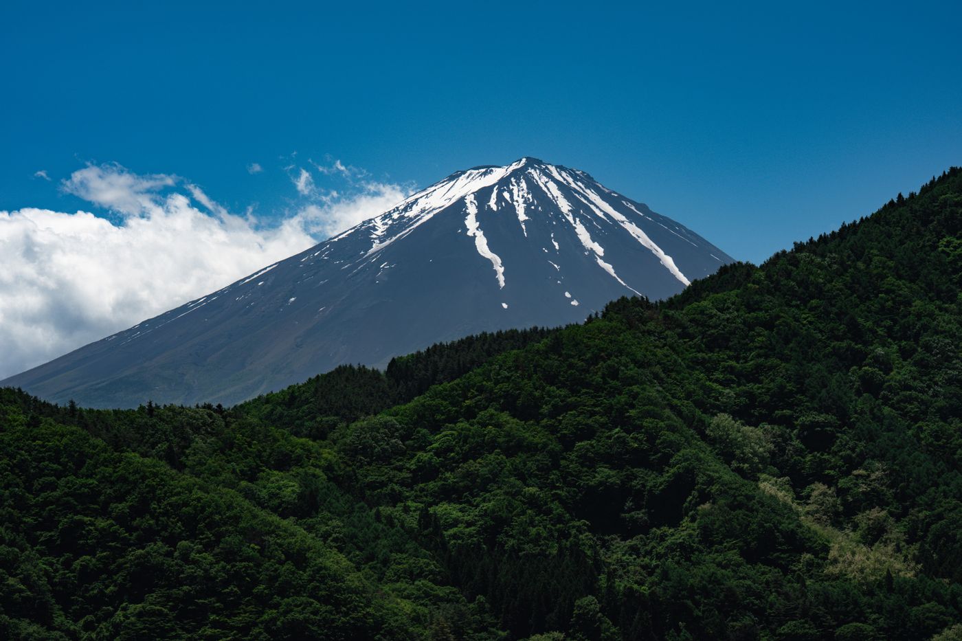 Green forested ridges below Mount Fuji under a clear summer sky